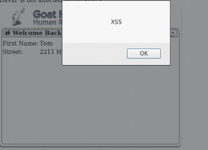 Stored XSS Fase 3